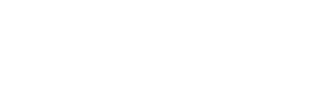 SE1